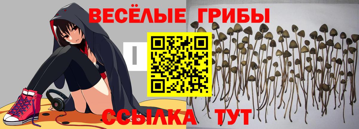 Псилоцибиновые грибы мицелий  Галлюциногенные грибы Magic Shrooms  Медногорск  Вход с VPN 