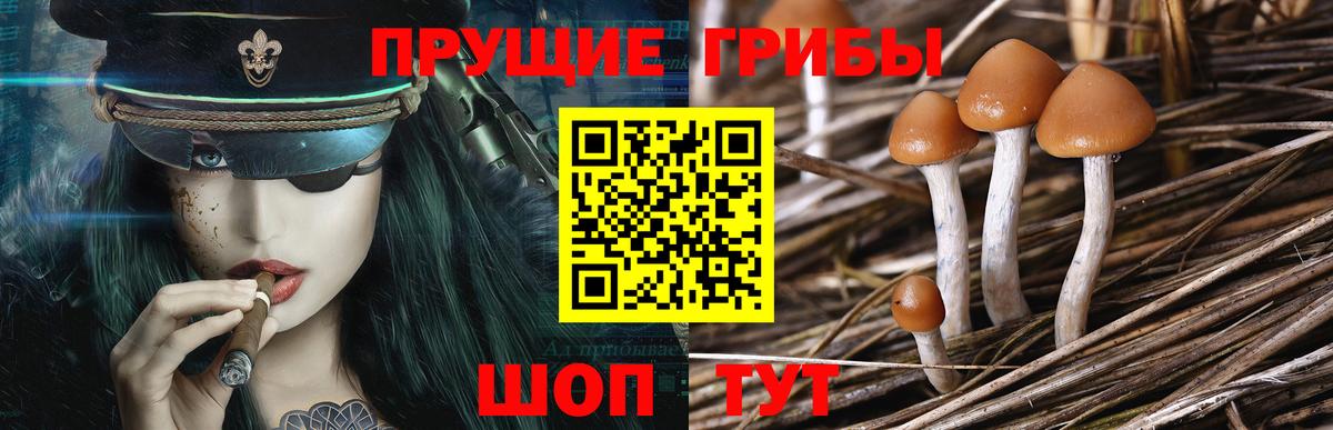 Галлюциногенные грибы прущие грибы Медногорск