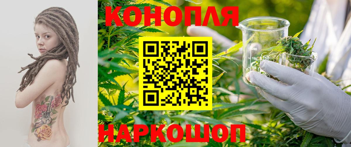 МАРИХУАНА план  Вход с VPN  Канабис конопля  МАРИХУАНА ГИДРОПОН  Медногорск 